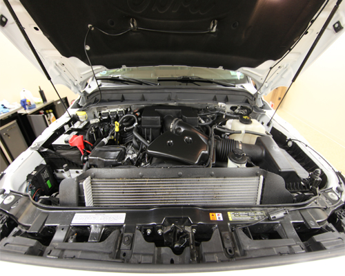 f2502.jpg