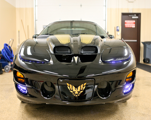 ls2.jpg